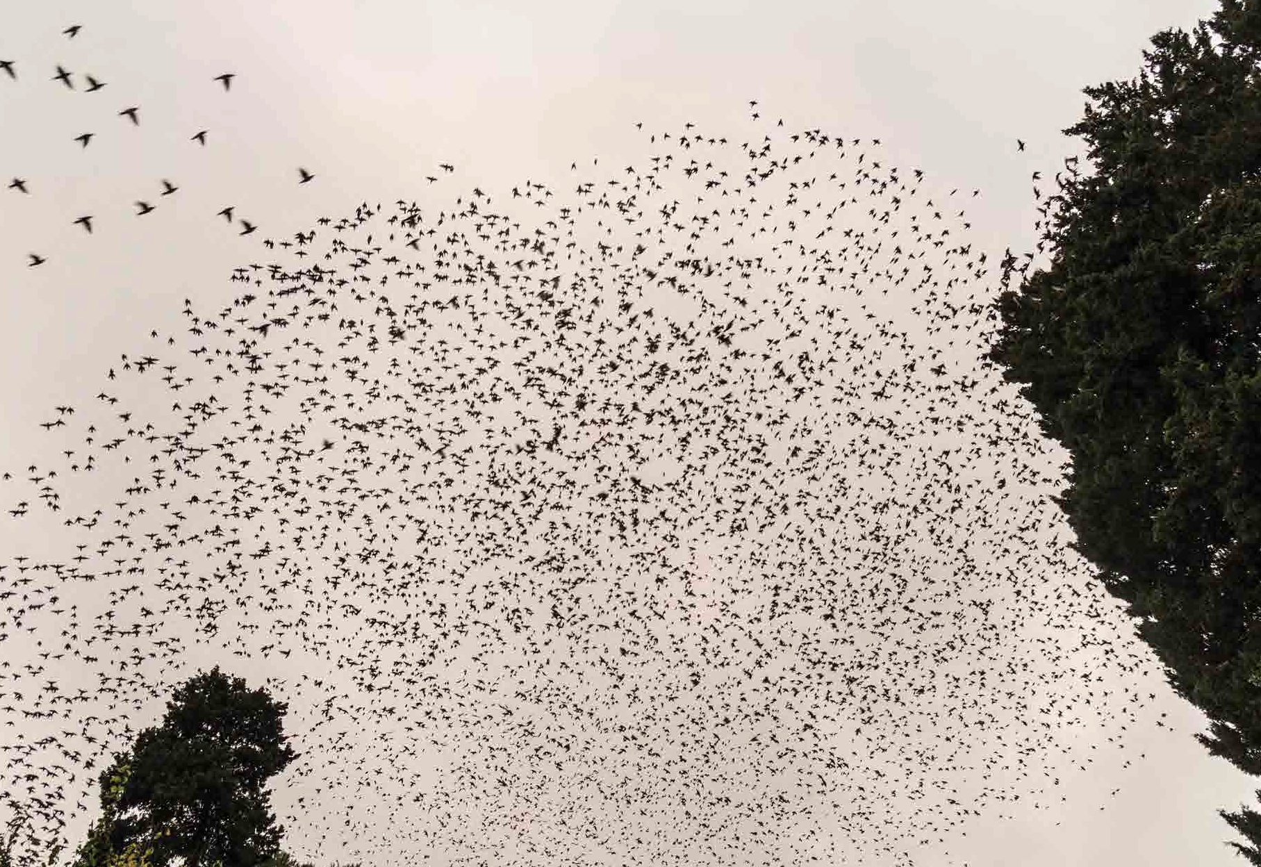 From Drift to Reclaim – A Conversation with Luis Carlos Tovar